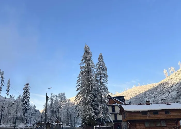 Gron Daire Kościelisko